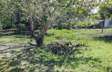 Imagem: O terreno está localizado em Itacaré, BA à venda por R$30.000