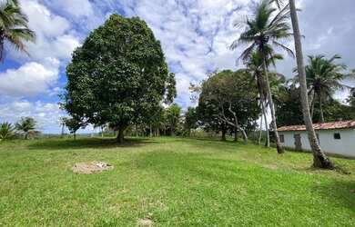 Imagem 6: Fazenda em jaguaripe. 1.000.000m² de Área, 4 Vagas na garageme3 Dormitórios