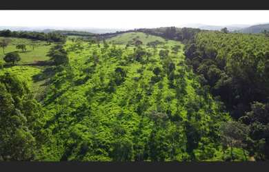 Imagem: O apartamento e está localizado em Carmo do Cajuru, MG à venda