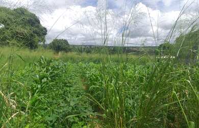 Imagem 4: Terreno Sitio São José 7x28