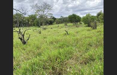 Imagem 3: Fazenda em São Sebastião do Passé-Ba