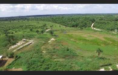 Imagem 8: Fazenda pronta 108 alqueires por R$10 milhões no Pará