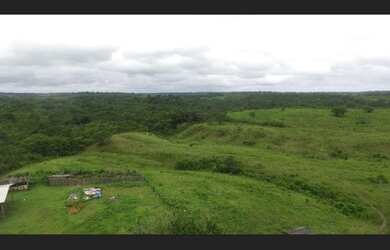 Imagem 13: Fazenda de 280 hectares no Pará por 2.700.000 reais 225 hectares de pasto