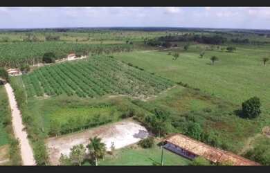 Imagem 11: Fazenda pronta 108 alqueires por R$10 milhões no Pará