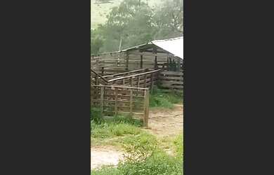 Imagem 3: Fazenda de 140 há em Sã Tiago MG