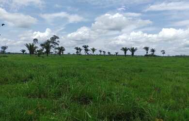 Imagem 10: 240 alqueires prontos a 120km de Belém-PA R$15 milhões aceita parcelamento