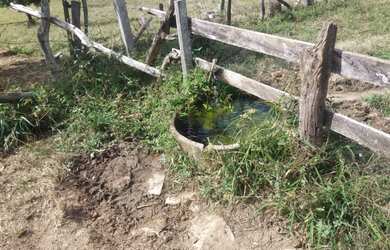 Imagem 12: Fazenda de 14 ha em Itaguara