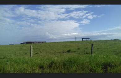 Imagem 4: Fazenda 125 hectares por 950 mil reais 100 hectares de pasto no Pará...