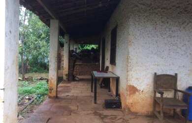 Imagem 4: Excelente fazenda de café