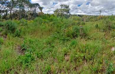 Imagem: O terreno possui 10.000m² de Área e está localizado em Campo