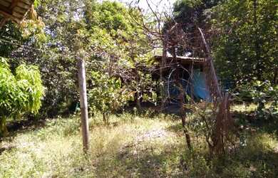 Imagem 4: 29 hectares no Santo Antônio do Tauá por R$160 mil reais documentado