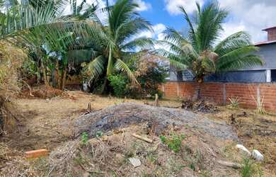 Imagem: O terreno possui 300m² de Área e está localizado em Mata