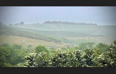 Imagem 2: Fazenda de 3.231 há Sul de Minas MG