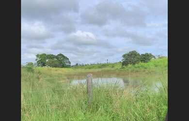 Imagem 6: Fazenda Tailandia 273ha. Direto com o proprietário, 2.730.000m² de Área,...