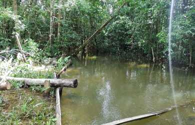 Imagem: A fazenda possui 5750000-0m² de Área e está localizado em
