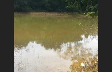 Imagem: A fazenda está localizado em Caetanópolis, MG à venda por