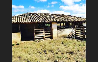 Imagem 7: Fazenda de 110 há em São Tiago MG
