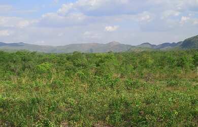 Imagem 3: 250 Alqs Plana Cultura Bruta Região Paranã TO