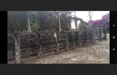 Imagem 7: Fazenda de 240 há em Carmo da Mata MG