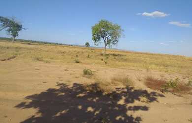 Imagem: A fazenda está localizado em Santa Maria do Tocantins, TO à