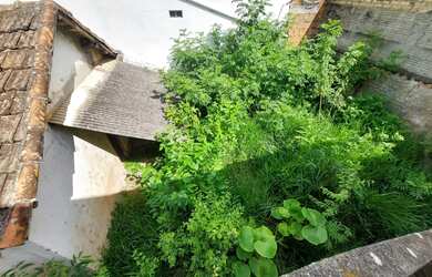 Imagem 16: Casa na Federal necessita reforma