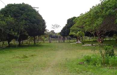 Imagem 5: Excelente Fazenda em Praia Do Forte