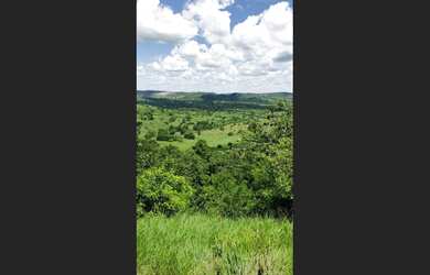 Imagem 3: Fazenda em Pedrão-Ba. 200.000m² de Área
