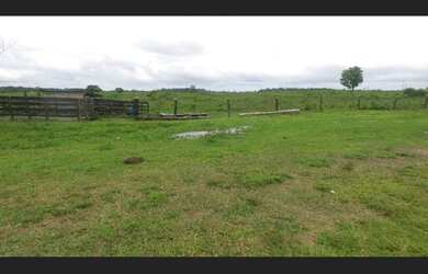 Imagem 15: Fazenda de 280 hectares no Pará por 2.700.000 reais 225 hectares de pasto