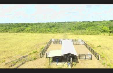 Imagem 5: 400 hectares com pasto pra gado no Pará por R$2 milhões fica passando...