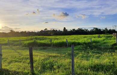 Imagem 7: Fazenda em União Bandeirantes