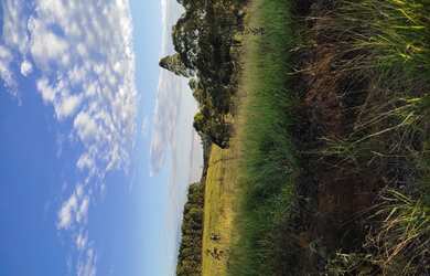 Imagem 3: Fazenda de 60 há São Tiago MG