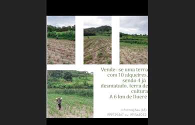Imagem: A fazenda está localizado em Duerê, TO à venda por R$1.500.000