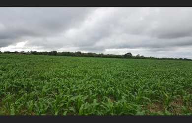 Imagem 5: Fazenda no Pará 5.578 alqueires por 150 milhões de reais dupla aptidão