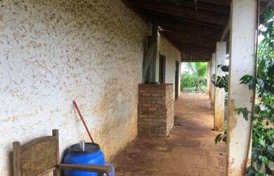 Imagem 9: Excelente fazenda de café