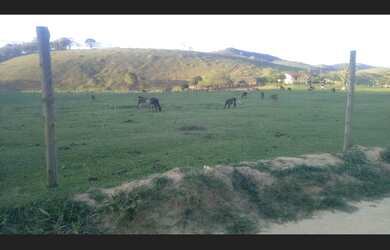 Imagem 3: Fazenda 120 hectares Vale do Mucurí Santa Helena de Minas Zap 33 998000931