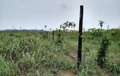 Imagem: A chácara possui 22.500m² de Área e está localizado em