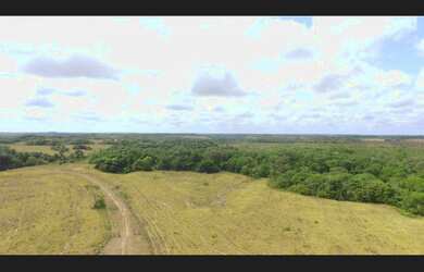 Imagem 2: 400 hectares com pasto pra gado no Pará por R$2 milhões fica passando...
