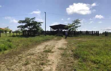 Imagem 6: Fazenda pronta em pasto com 118 alqueires no Pará por R$3,5 milhões
