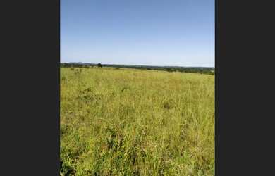 Imagem 11: Fazenda em Agua Boa MT. 40.700.000m² de Área