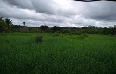 Imagem: A fazenda possui 2000000-0m² de Área e está localizado em