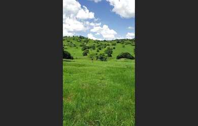 Imagem 5: Fazenda em Pedrão-Ba. 200.000m² de Área