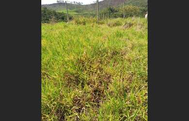 Imagem 7: Lote no bairro Piracicaba compra facilitada