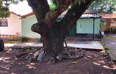 Imagem 15: Àrea 944,49 no setor Leste Universitário