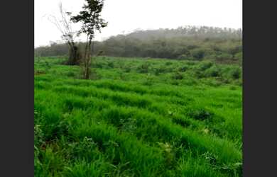 Imagem: O terreno possui 14.200m² de Área e está localizado em Filadélfia