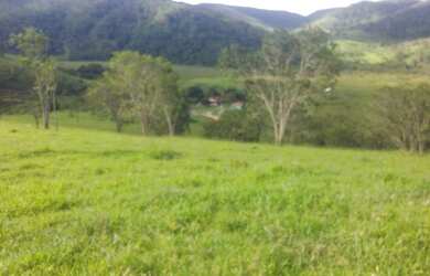 Imagem 14: Vendo Fazenda 215 hectares casas 12kms Palmópolis MG com Rio, 33 998000931,...