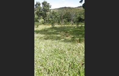 Imagem 10: Fazenda de 151 há em Cordisburgo MG