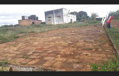 Imagem 8: Excelente fazenda de café