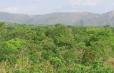 Imagem: A fazenda está localizado em Pindorama do Tocantins, TO à