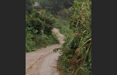 Imagem 3: Excelente fazenda em Lençóis