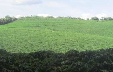 Imagem 1: Fazenda de 3.231 há Sul de Minas MG